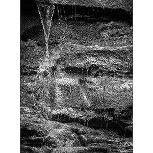 Cas10D4F_1508.jpg