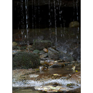 Cas10D4F_1516.jpg