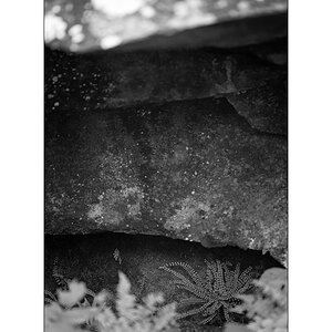 Cas10D4F_1517.jpg