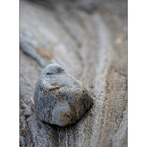 Cas10DSC_2810.jpg