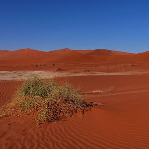 P1011737aklein.jpg