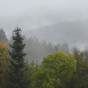DSC_7576.JPG