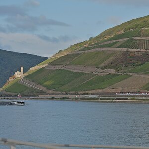 DSC_0073.jpg