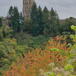 BRH_4765.jpg