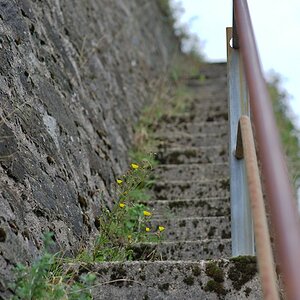 BRH_4762.jpg