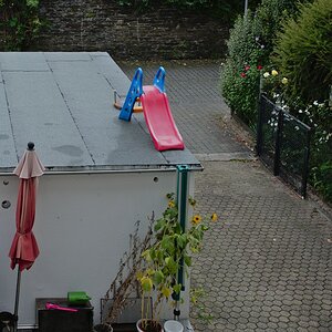 DSC_0319.jpg