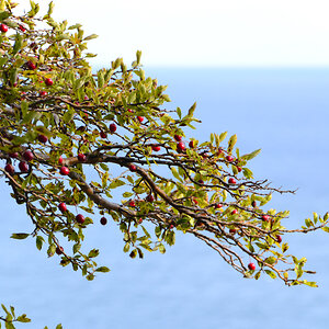 20191009_134521.jpg