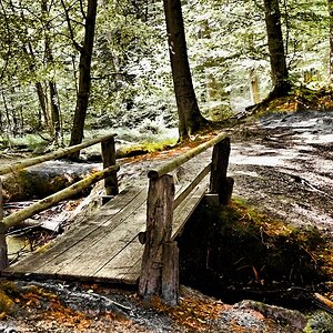 Die Brücke zwischen Erlen und Buchen.jpg