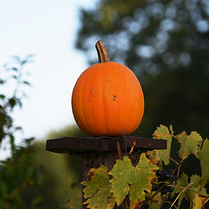 811_4788at1l5fks70p1.jpg
