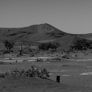 P1011771swklein.jpg