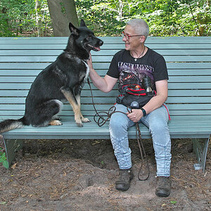 Heavymetalteutoschleifenbank