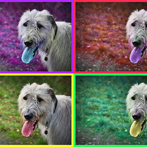 IW Elly - a la Warhol