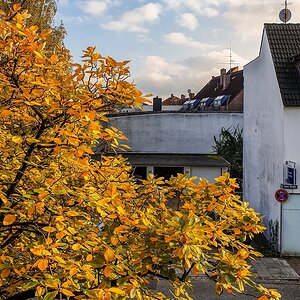 TZ_20191016_1650.jpg