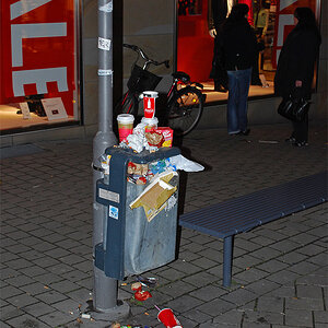DSC_1950Axl.jpg
