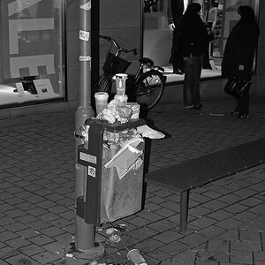 DSC_1950Asw_xl.jpg