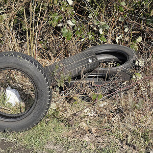 _DSF1728S4Pxl.jpg