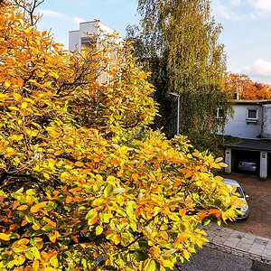 TZ_2019-10-16 16-51.jpg