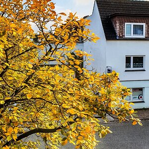 TZ_2019-10-16 16-53.jpg