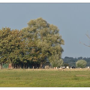 Xanten_005.jpg