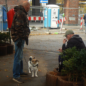 Urban Tristesse.jpg
