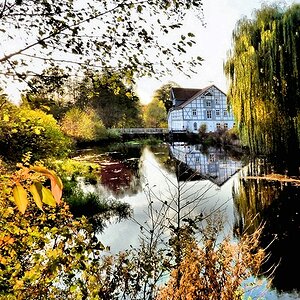 _Mühlsee Oldenstadt.jpg