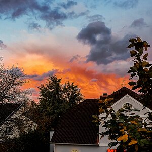 TZ_2019-10-18_18-10.jpg