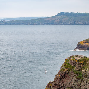 20190517-D50_0762.jpg