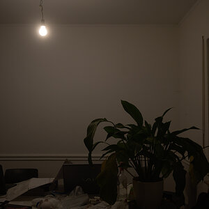 Test1.jpg