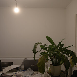 Test2.jpg