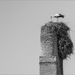 P3180123-2.jpg