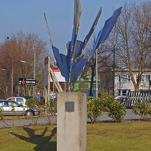 DSC_0238cnxAxl.jpg