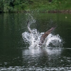 D50_9177_Volltreffer_IA_9_2019.jpg