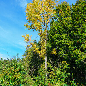 DSC_1040.jpg