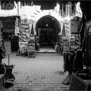 P3162111.jpg