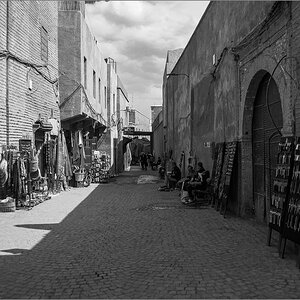 P3172209.jpg
