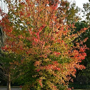 20191022_164505nf.jpg