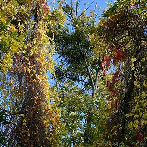 20191022_144428nf.jpg