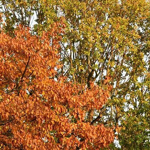 20191022_171944nf.jpg