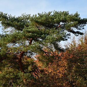 20191022_153313nf.jpg