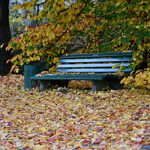 20191022_165138nf.jpg