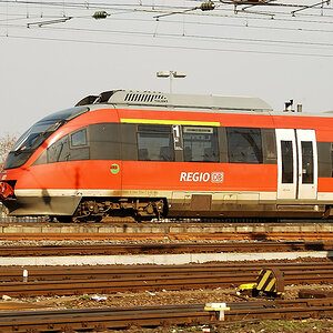 DSC_0204KPxl.jpg