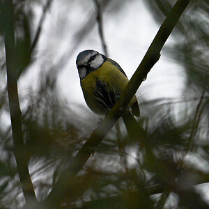 811_4840at1l5fkfs10s70p1.jpg