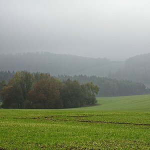 Nebel I