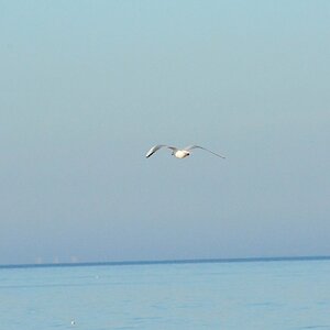 Raus auf die Ostsee.jpg