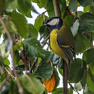 OF2_33457.jpg
