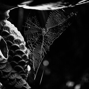 TZ_THO_0093_sw.jpg