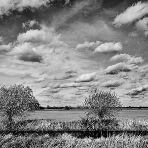 Hollerdeich - Wümme - Bremen