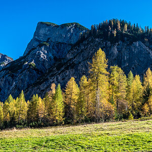 _D750074.jpg