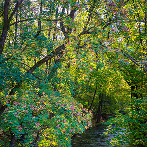 _DSC8623.jpg