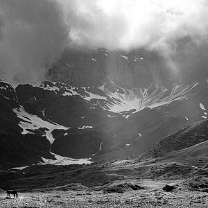 Giswil-Engelberg-Melchsee--Frutt-3570-Bearbeitet-2.jpg x
